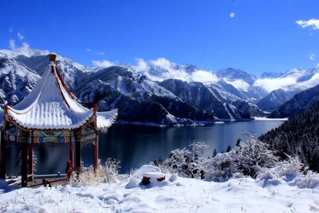 我的矿场